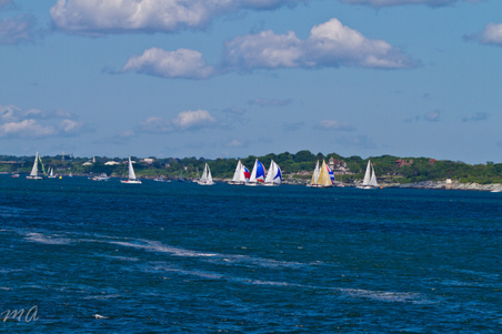Enlarge photo 431
