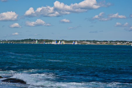 Enlarge photo 436