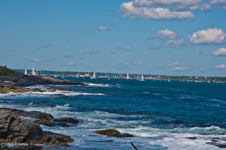 Enlarge photo 437