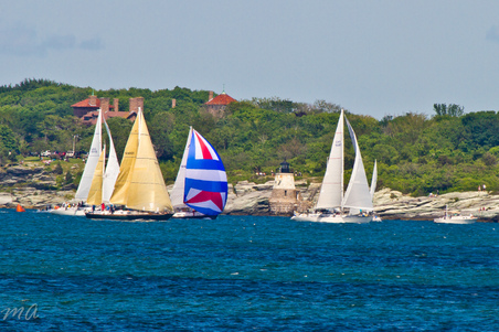 Enlarge photo 438