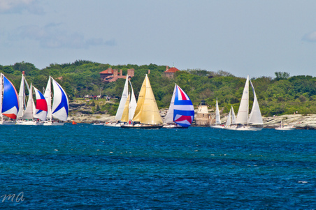 Enlarge photo 439
