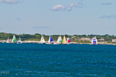 Enlarge photo 440