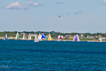 Enlarge photo 441