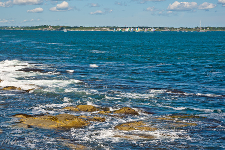 Enlarge photo 442