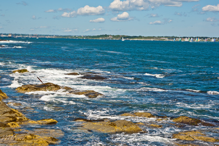 Enlarge photo 443