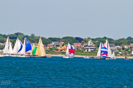Enlarge photo 444