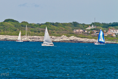 Enlarge photo 446