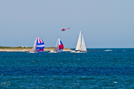 Enlarge photo 448