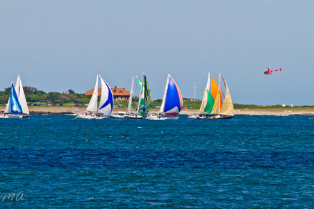 Enlarge photo 449
