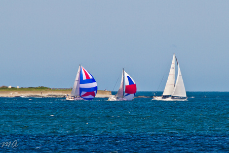 Enlarge photo 450