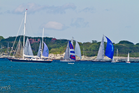 Enlarge photo 451