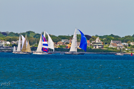 Enlarge photo 452
