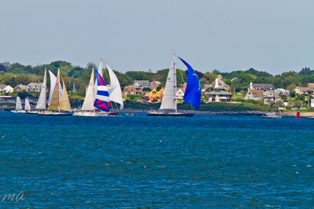 Enlarge photo 453