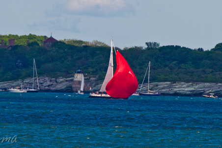 Enlarge photo 455