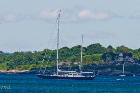 Enlarge photo 458