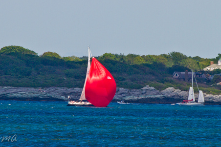 Enlarge photo 459