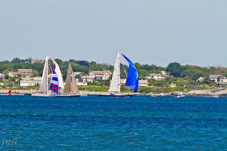 Enlarge photo 461