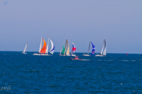 Enlarge photo 462
