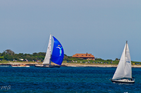 Enlarge photo 471