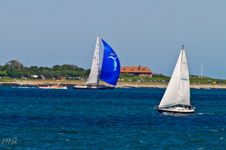 Enlarge photo 472