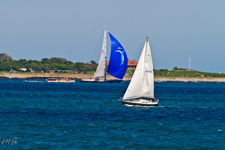 Enlarge photo 473