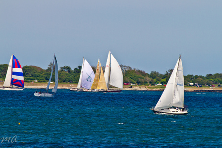 Enlarge photo 474