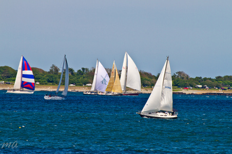 Enlarge photo 475