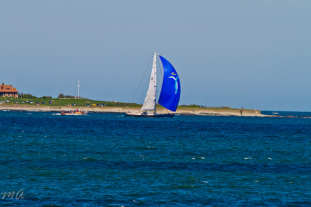 Enlarge photo 476