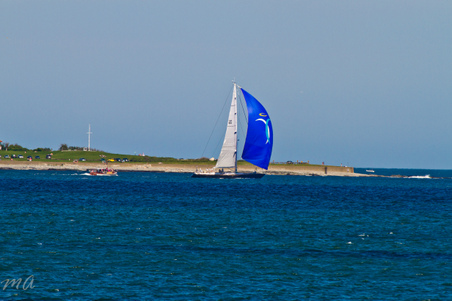 Enlarge photo 477
