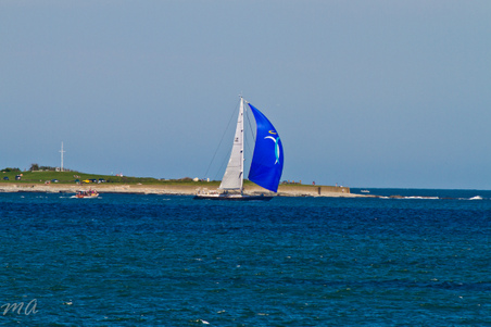 Enlarge photo 478