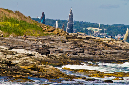 Enlarge photo 479