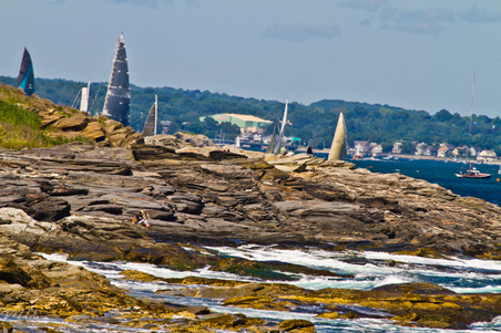 Enlarge photo 481