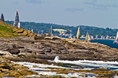 Enlarge photo 482