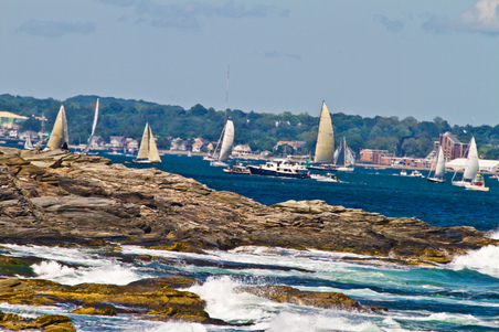 Enlarge photo 483