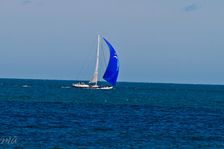 Enlarge photo 484