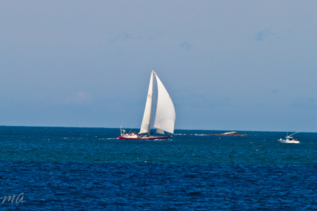 Enlarge photo 485