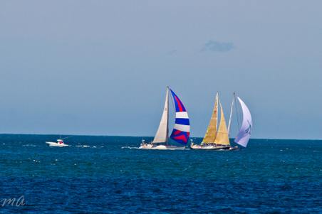 Enlarge photo 486