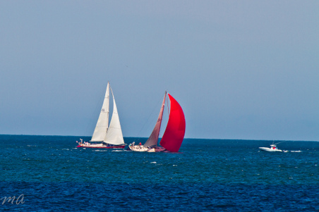 Enlarge photo 487