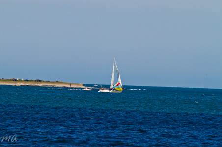 Enlarge photo 488