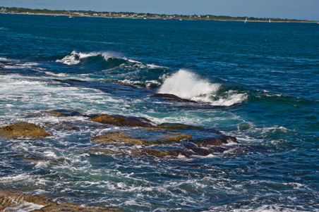 Enlarge photo 503