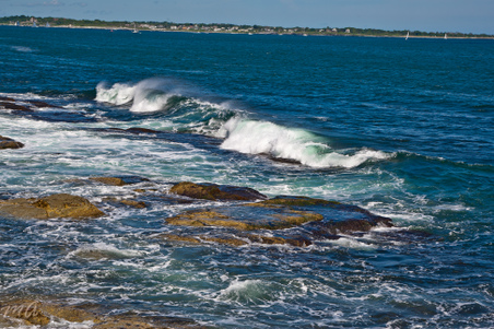 Enlarge photo 504
