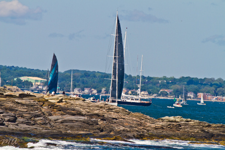 Enlarge photo 509