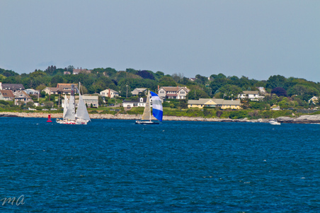 Enlarge photo 517