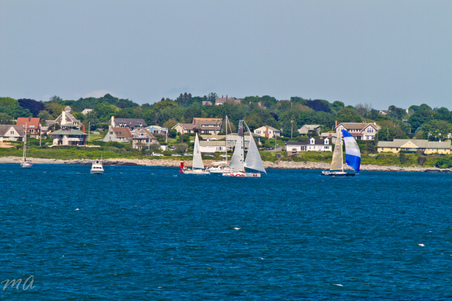 Enlarge photo 518