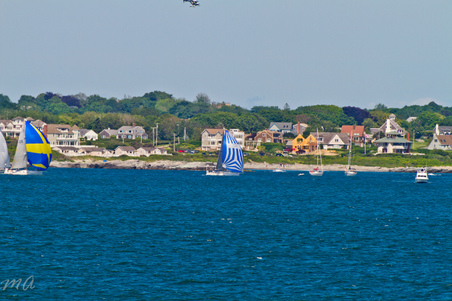 Enlarge photo 519
