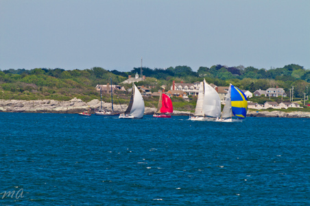 Enlarge photo 521