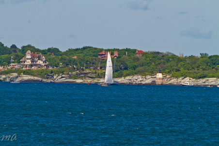 Enlarge photo 522