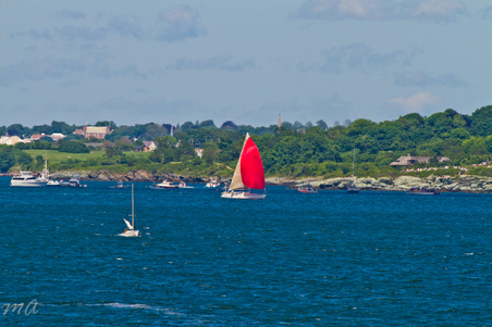 Enlarge photo 523