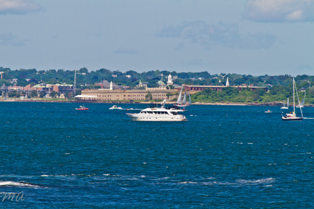 Enlarge photo 524