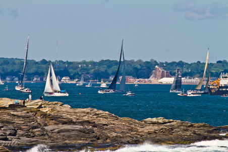 Enlarge photo 526